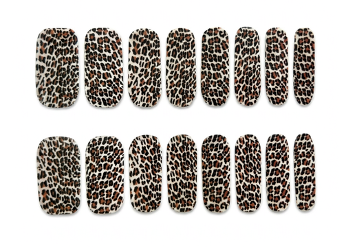 Baby Leopard