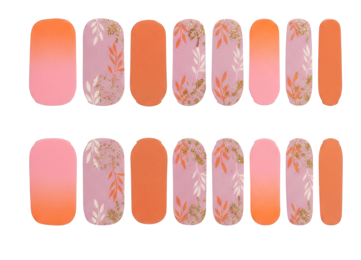 Coral & Floral